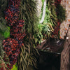 Greenarea Deco&Moss Moss&Plants Floresta