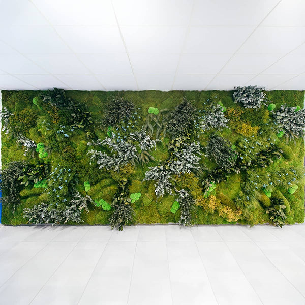 Greenarea Deco&Moss Moss&Plants MID 3D