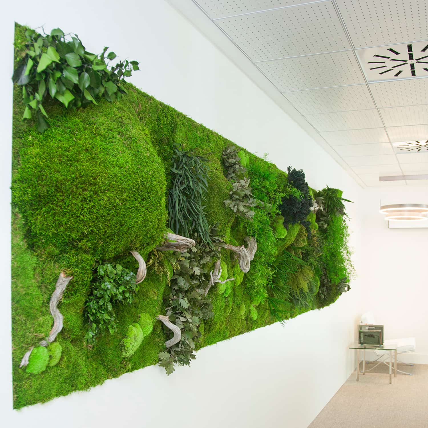 Greenarea Deco&Moss Moss&Plants MID 3D