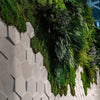 Greenarea Deco&amp;Moss Moss&amp;Plants MID 3D