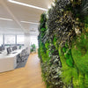 Greenarea Deco&Moss Mach&Rastliny MID 3D