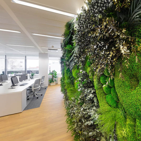 Greenarea Deco&amp;Moss Moss&amp;Plants MID 3D