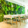 Greenarea Deco&amp;Moss Moss&amp;Plants MID